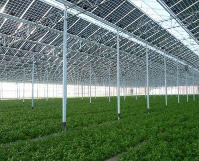 Solar Seralar